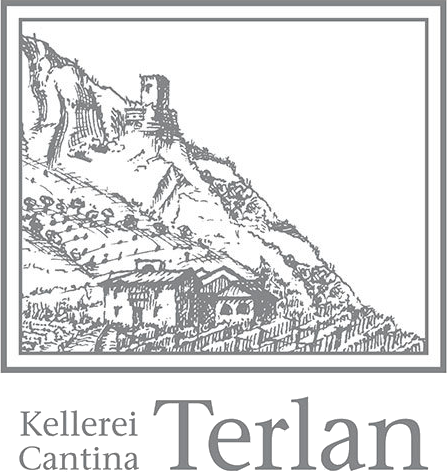 Terlan